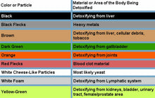 Load image into Gallery viewer, Ionic Foot Detox (Okemos)