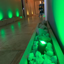 Load image into Gallery viewer, Ionic Foot Detox (Okemos)