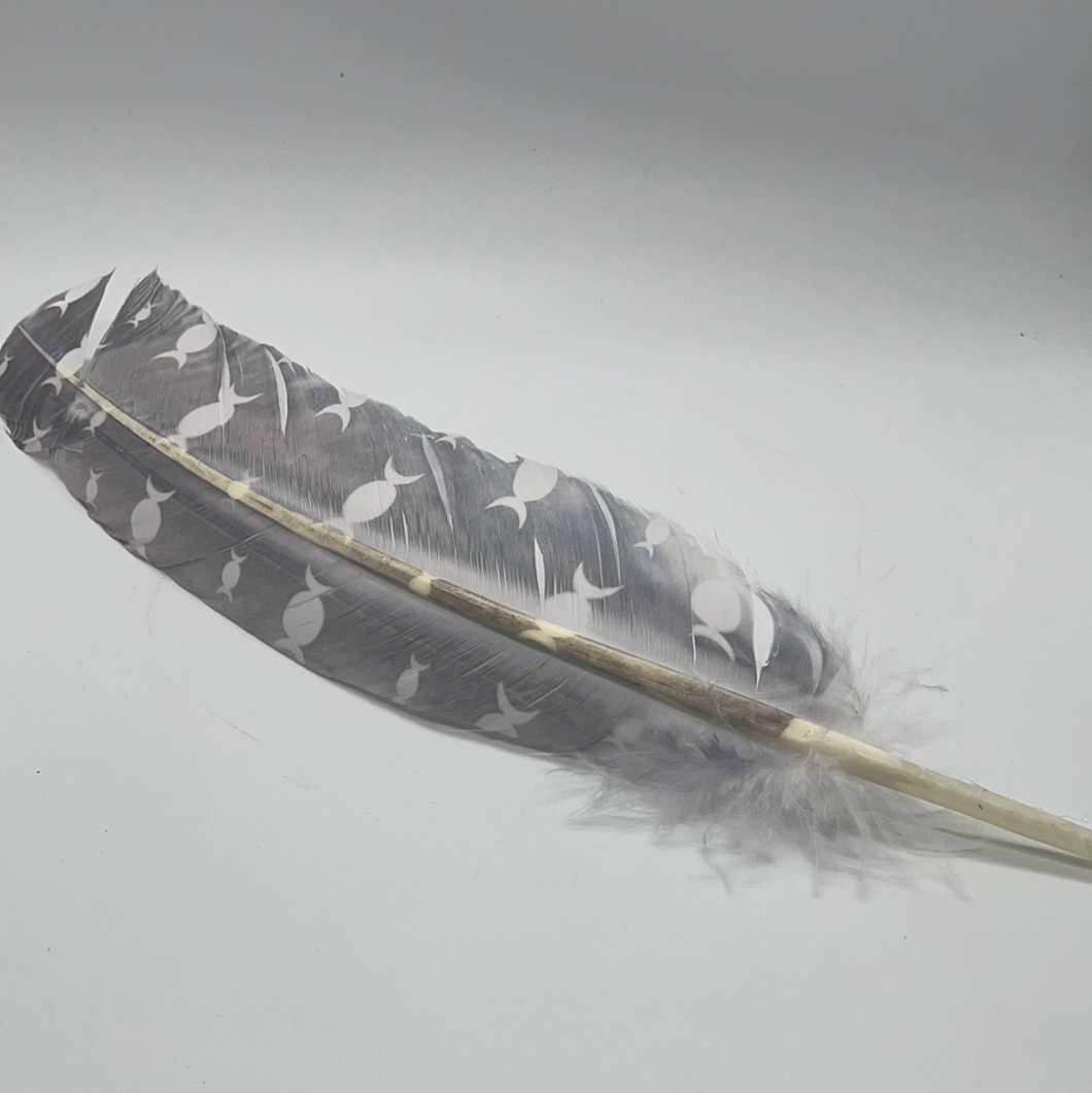 Triple Moon Smudging Feather