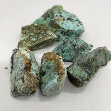 Load image into Gallery viewer, African Turquoise
