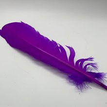 Load image into Gallery viewer, Smudging Feather
